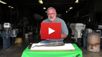 Video of man demonstrating proper method of filleting a fish to minimize PCB contaminants.