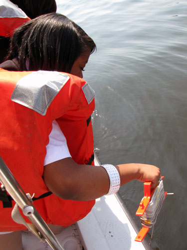 Senior Tamara McCoy lowers a secchi disk to test for water clarity.