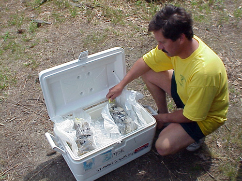 Man with open cooler