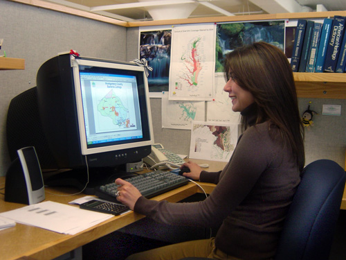   An environmental engineer in front of a computer