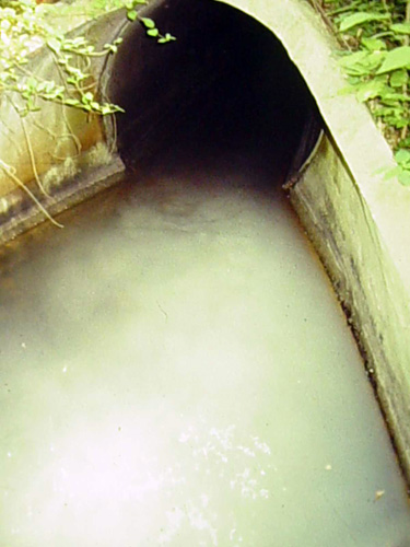 A stormwater outfall in Silver Spring, MD 