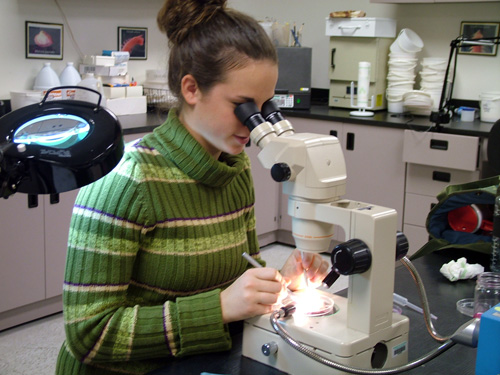 Photo of worker in a lab