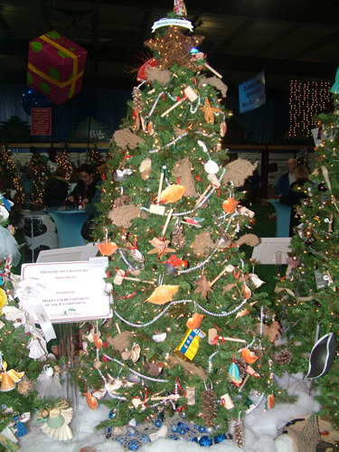 Photo of MDE's entry to Festival of Trees