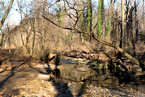 Picture of Stoney Run in Baltimore, MD