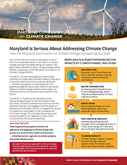 Climate Change fact Sheet in English image link