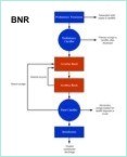 Example for Activated Sludge Process BNR Treatment
