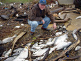 Man investigating fish kills