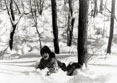 Child playing in snow.