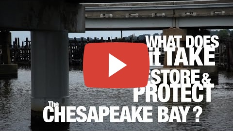PSA: What does it take to restore and protect the Chesapeake Bay Video