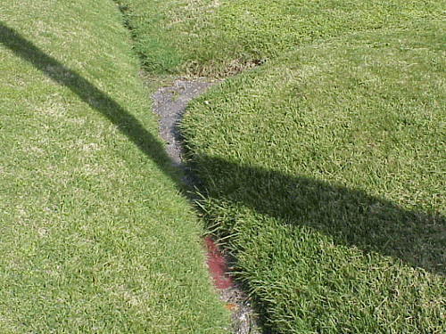 Sewage Effluent in Drainage Ditch