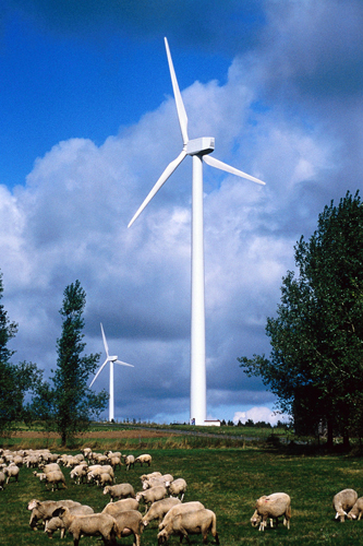 Photo of windmill