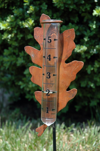 Photo of a rain gauge