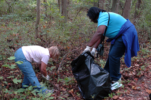 Searching for invasive plants in Quiet Waters Park