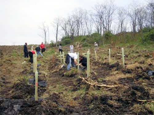 Students and volunteers plant trees.