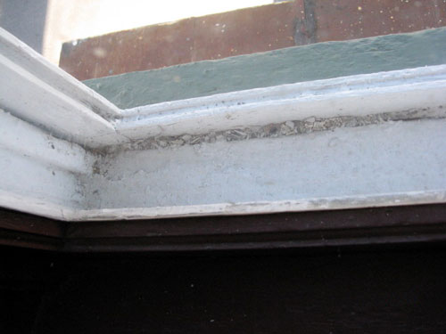 Flaking paint in window wells can be a source of lead contamination. 