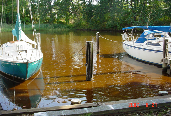 Boat dock showing toxic algae bloom