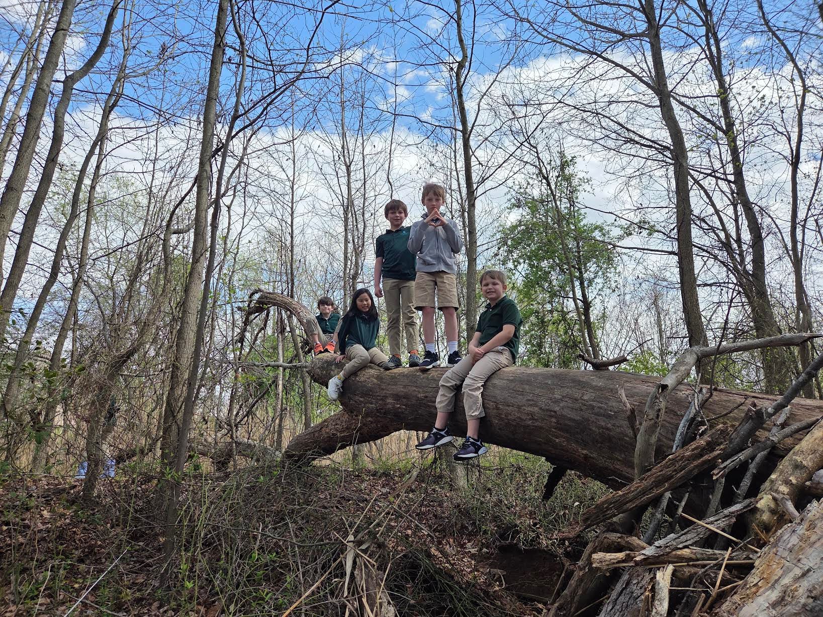 Radcliffe Creek School