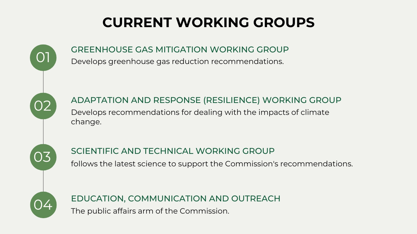 Current Working Groups