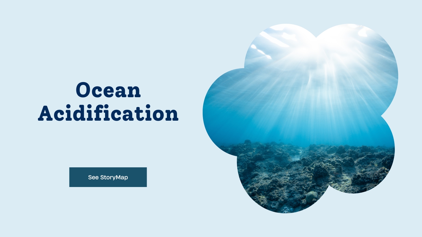 Ocean Acidification Title Image