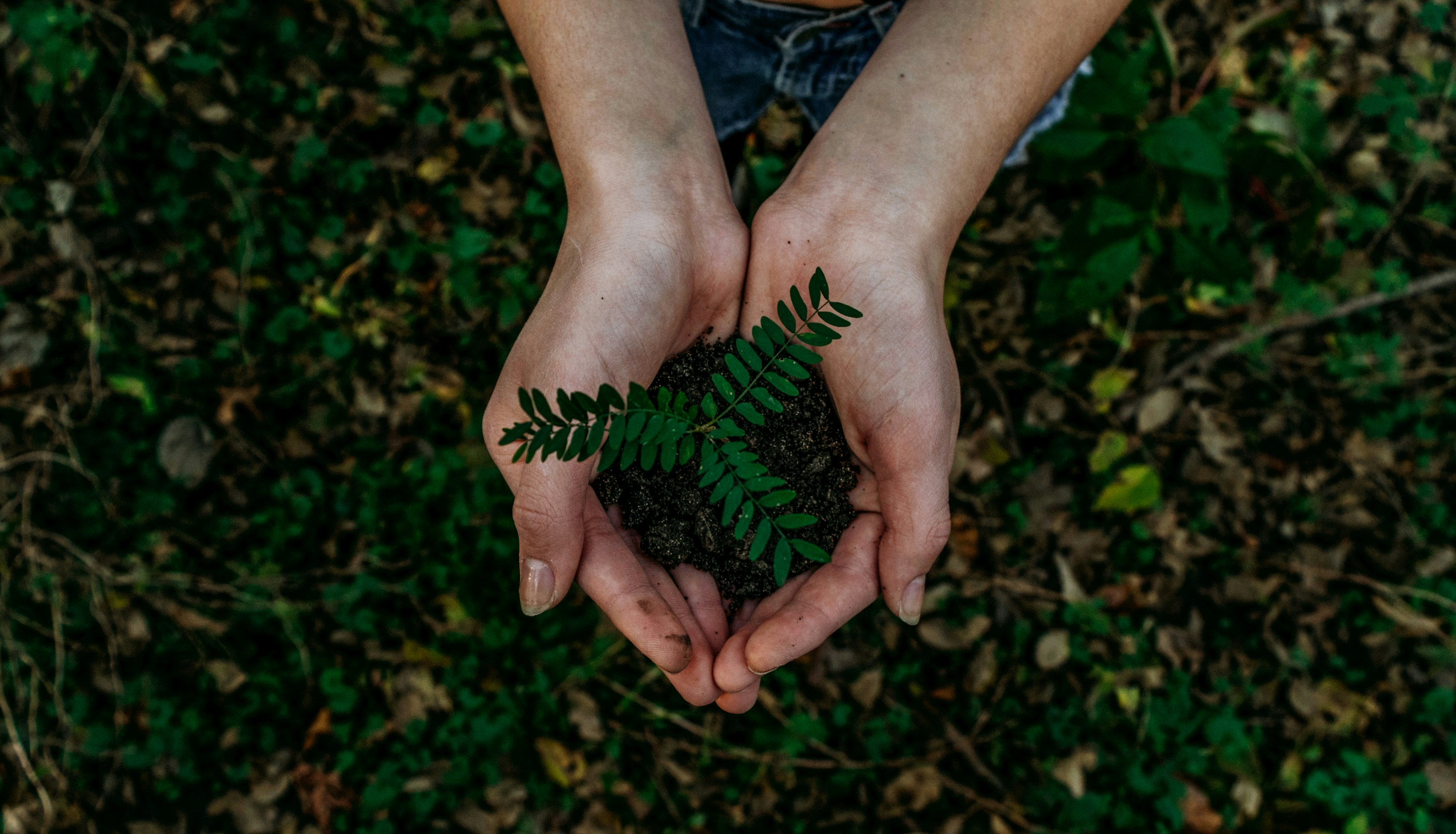 Kid with Plant Image