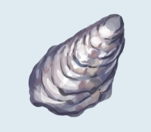 oyster 1.png