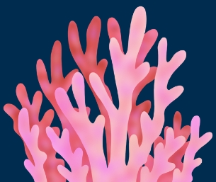 Coral 1.png