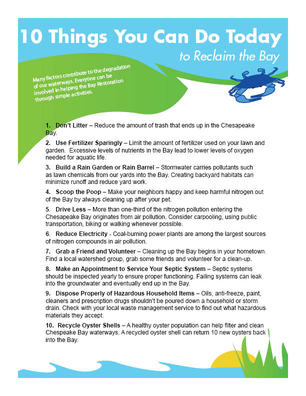 10 things to protect the bay fact sheet