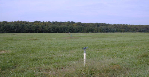 Photo of spray irrigation