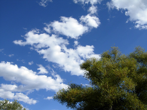 blue sky