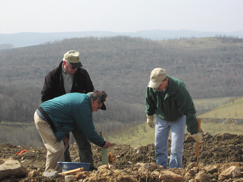 Photo of Land Reclamation Committee members planting trees 