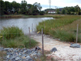 Enivornmental Concern creates living shoreline at San Domingo Creek in St. Michaels