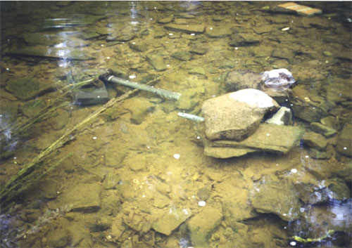 Photo of Stream