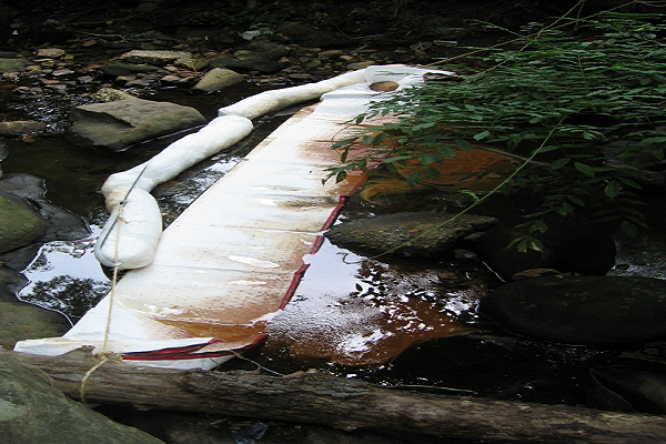 In June 2007, a fuel oil discharge caused a fish kill in Long Branch in Takoma Park.