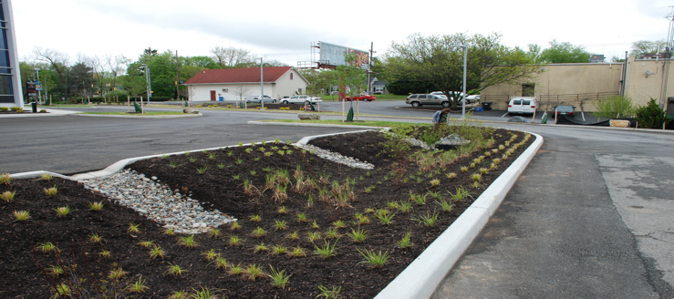 Bioretention Treating a Parking Lot
