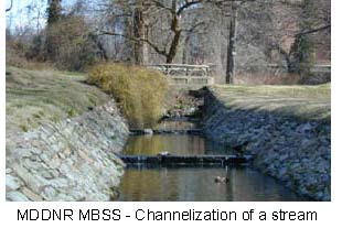picture of channelization of stream