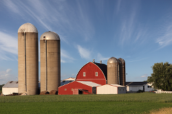 Farm with grain silos