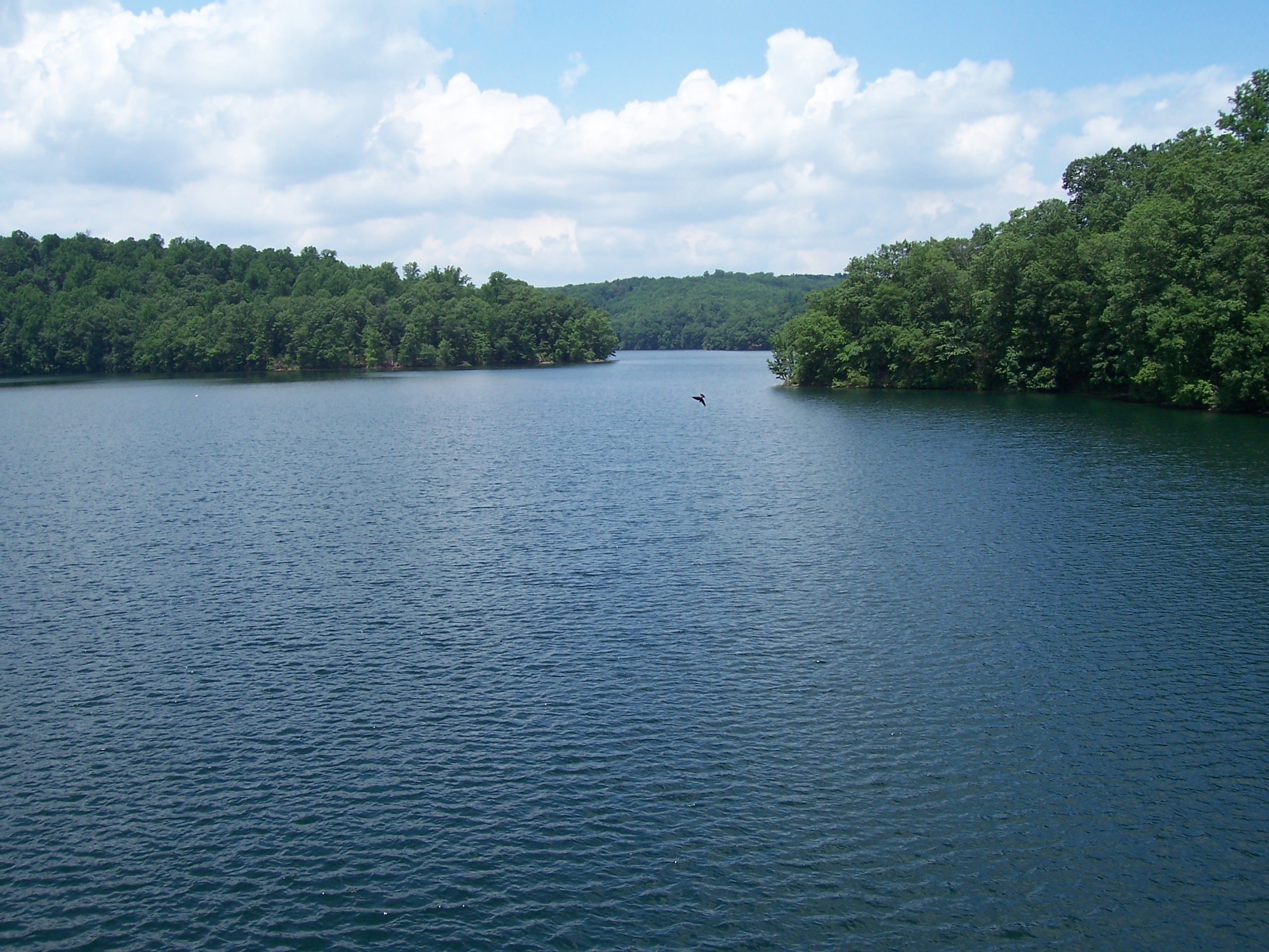 Picture of lake surface from Pretty Boy dam